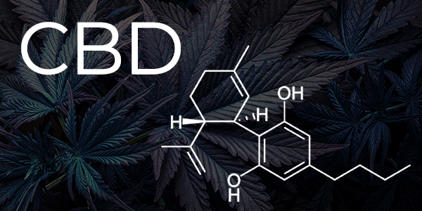 CBD Cannabidiol