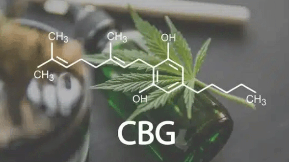 CBG Cannabigerol