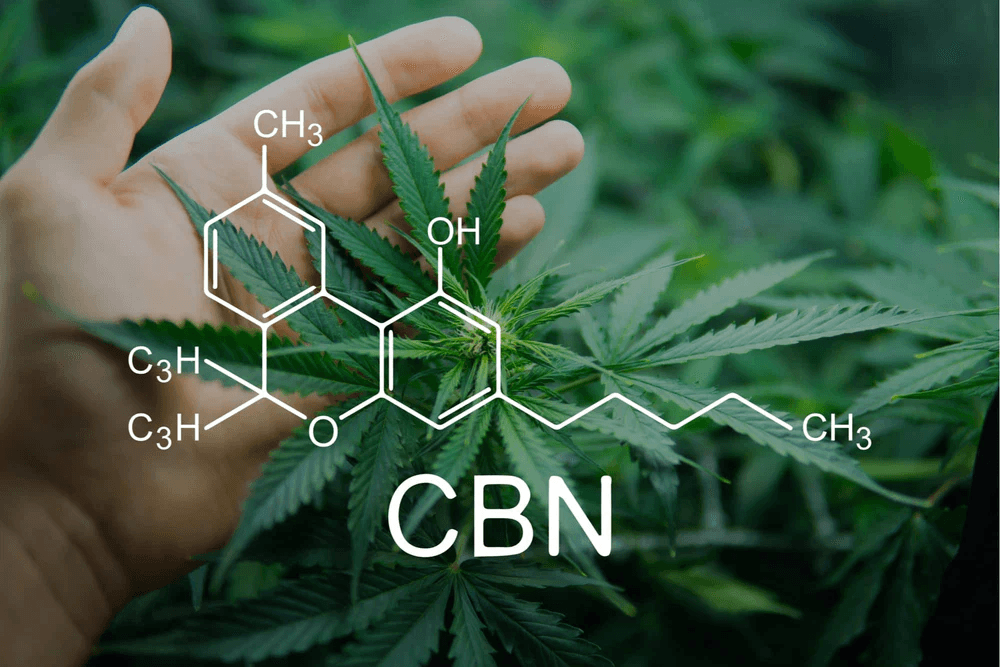 CBN Cannabinol