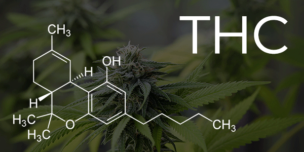 THC Tetrahidrocannabinol