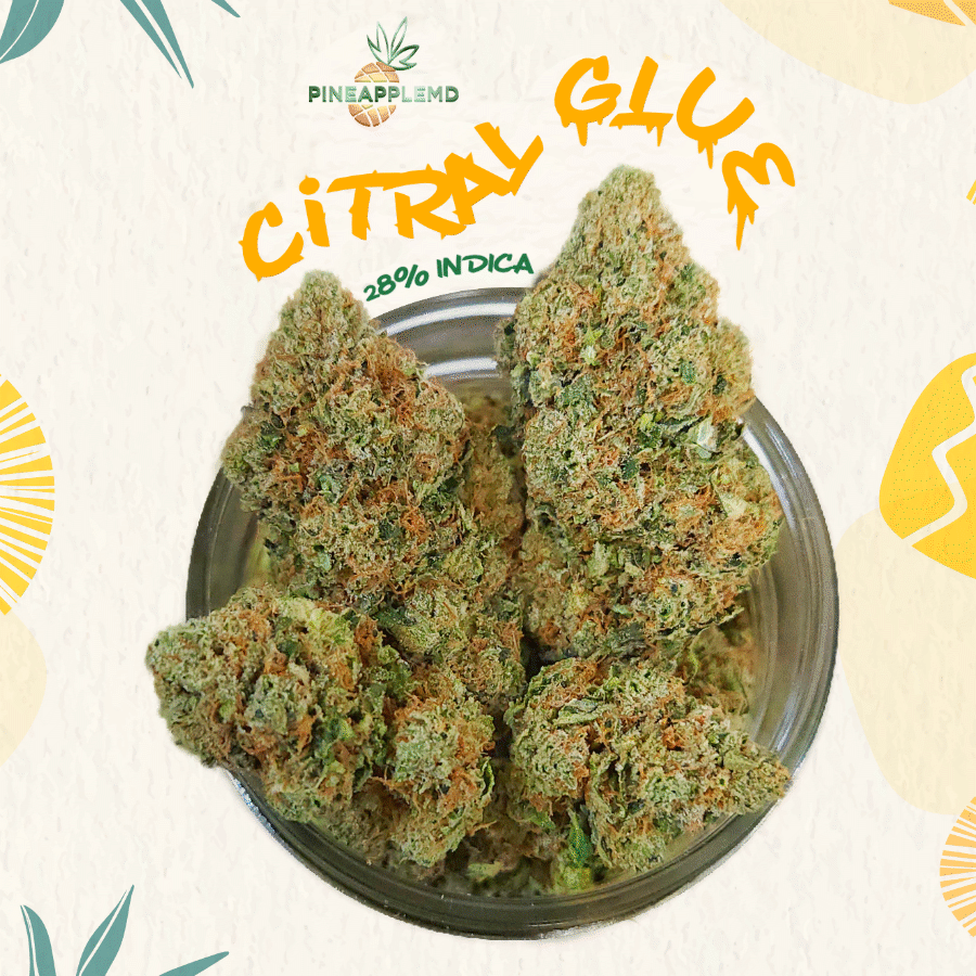 Citral Glue