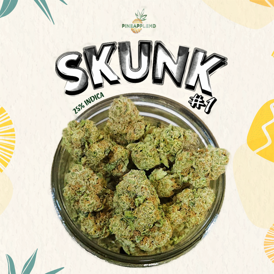 Skunk